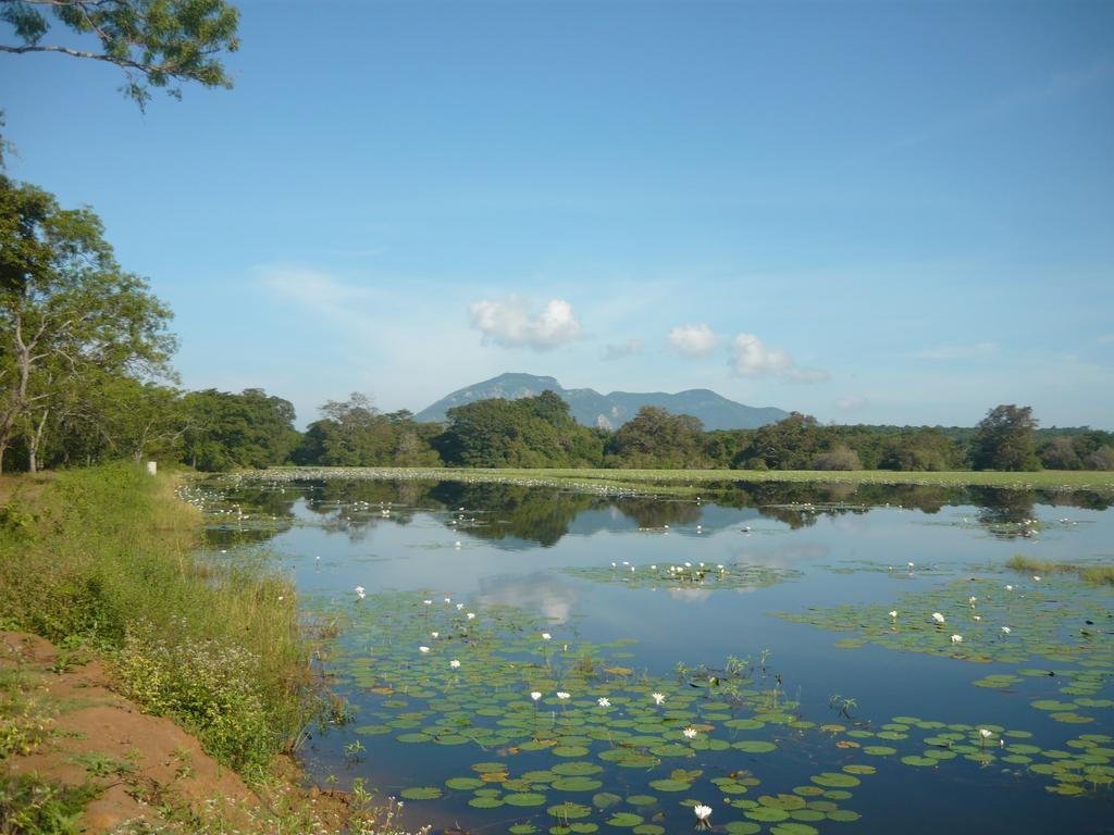 Sunrise Holiday Resort Habarana Extérieur photo