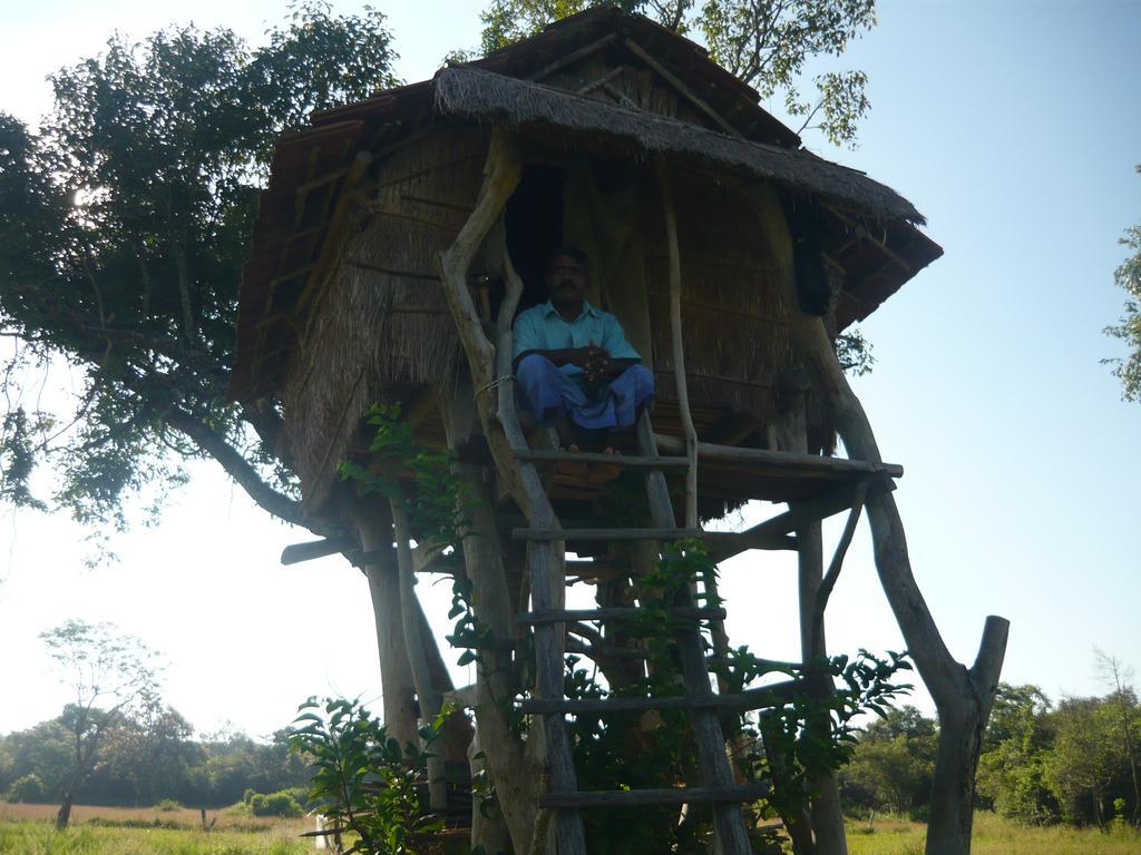 Sunrise Holiday Resort Habarana Extérieur photo
